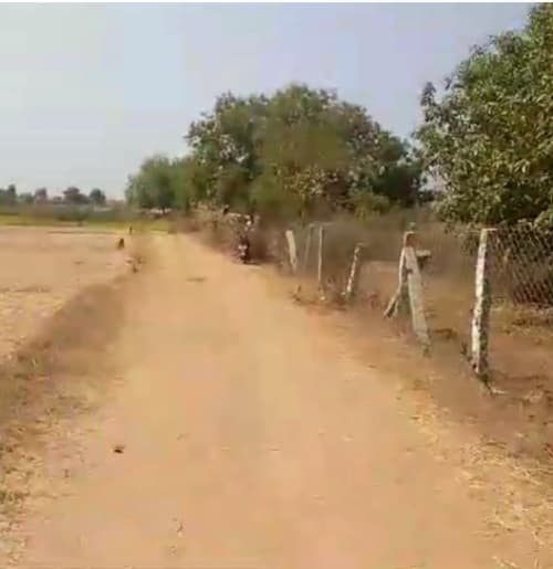 An image of land