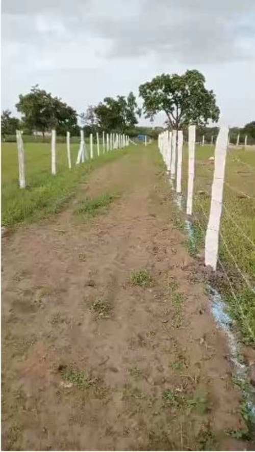 An image of land