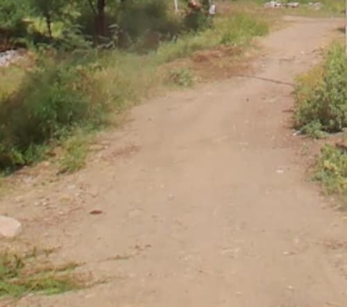 An image of land