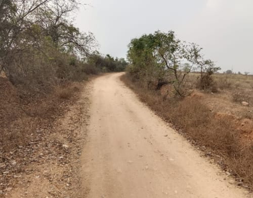 An image of land