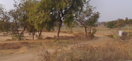 An image of land