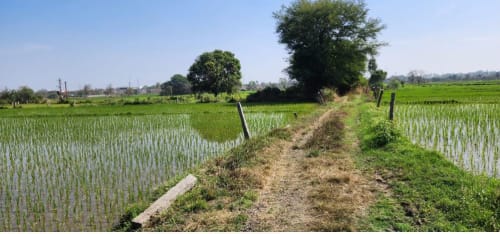 An image of land