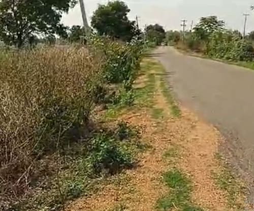 An image of land