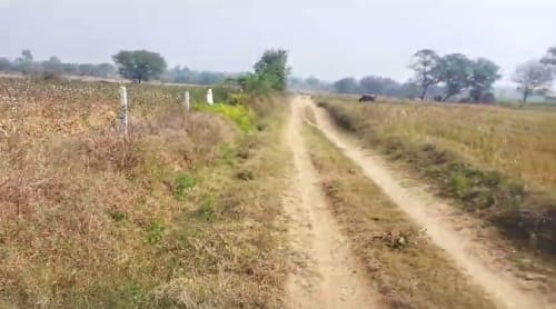 An image of land