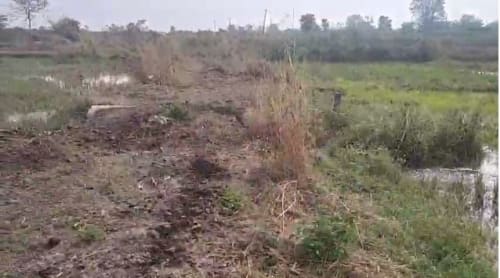 An image of land