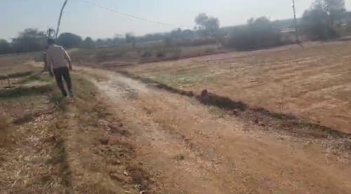 An image of land