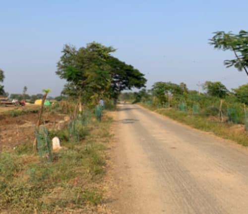 An image of land
