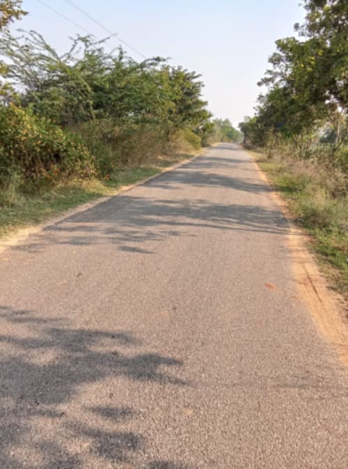 An image of land