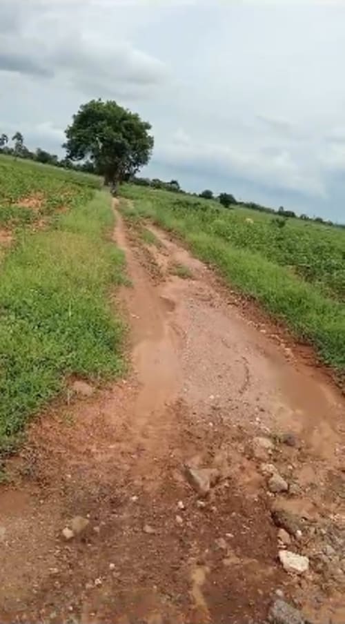 An image of land