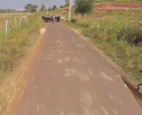 An image of land