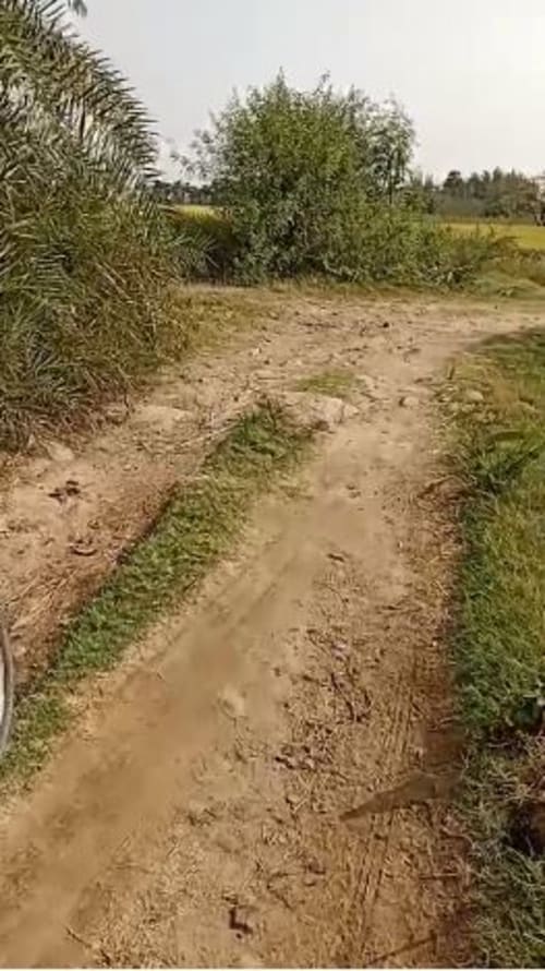 An image of land