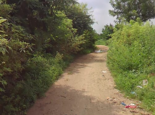 An image of land