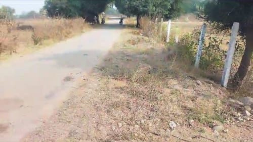An image of land