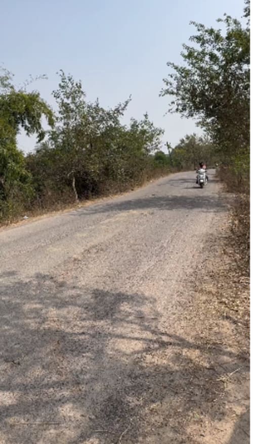 An image of land