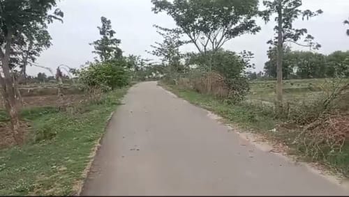 An image of land