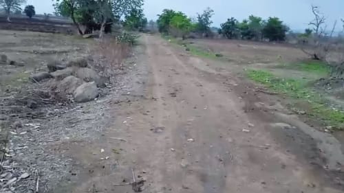 An image of land