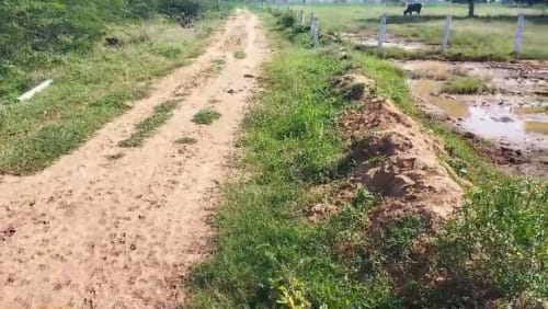 An image of land