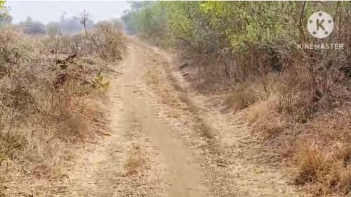 An image of land