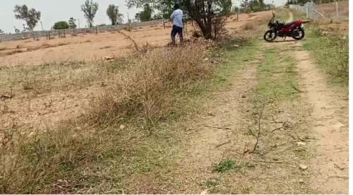 An image of land