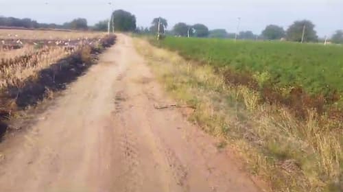 An image of land