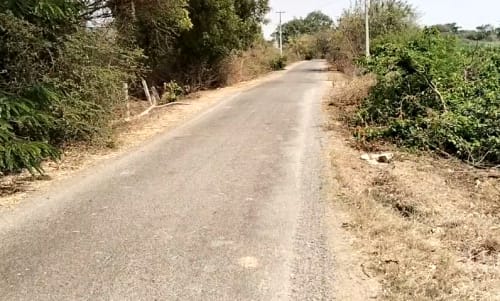 An image of land