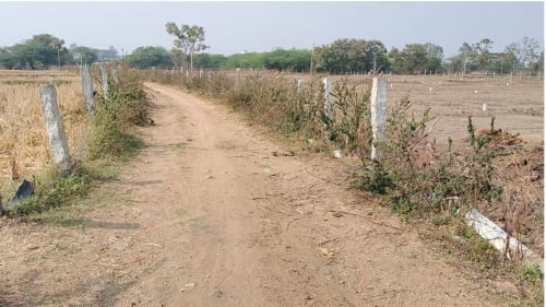An image of land