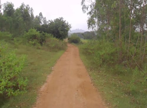 An image of land