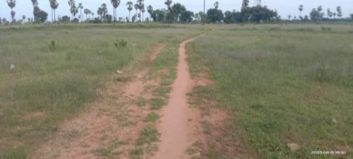 An image of land