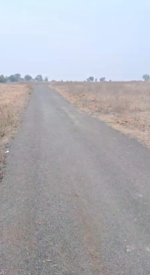 An image of land