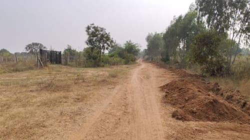An image of land