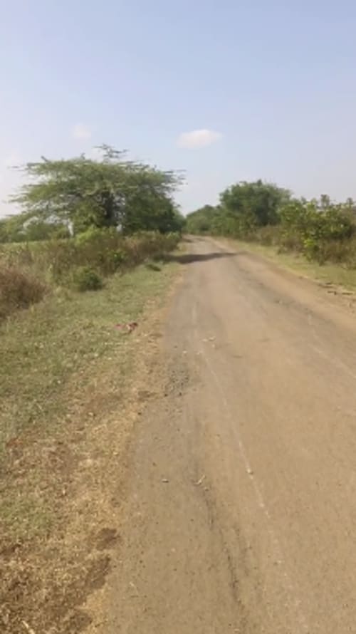 An image of land