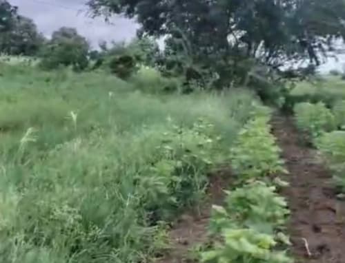 An image of land