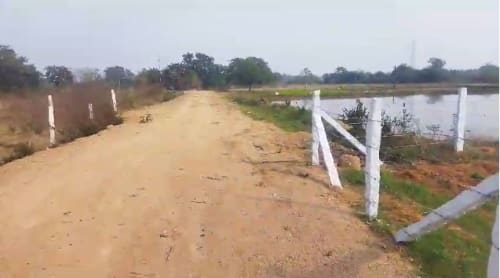 An image of land