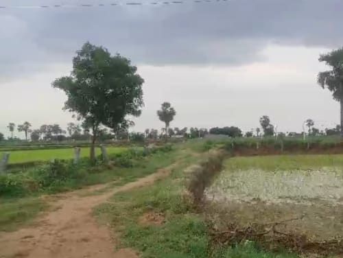 An image of land