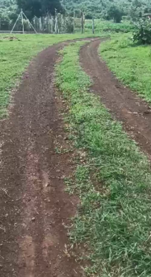 An image of land