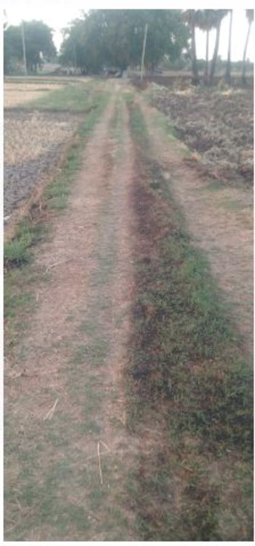 An image of land