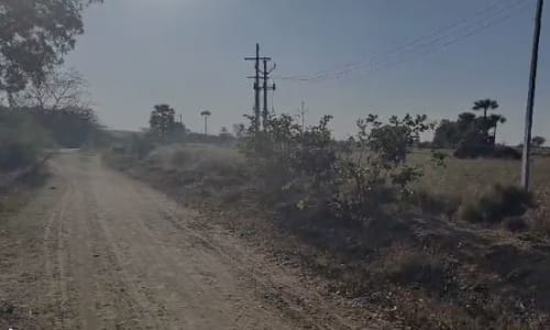 An image of land