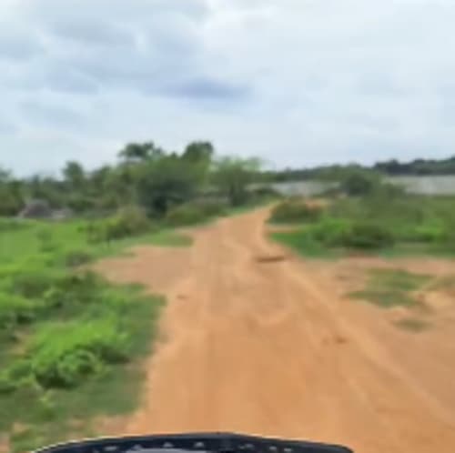 An image of land