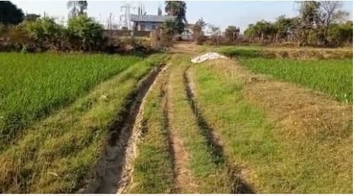 An image of land