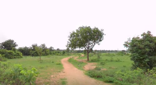 An image of land