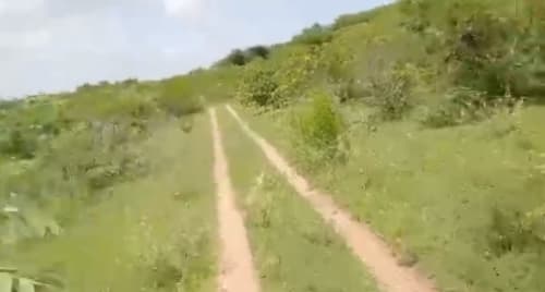 An image of land