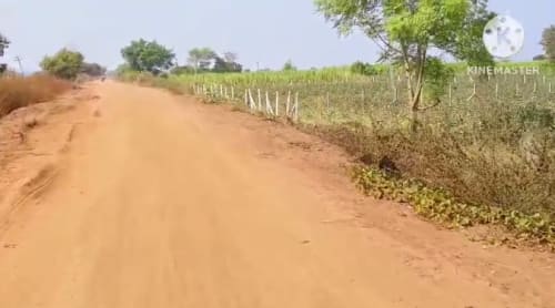 An image of land