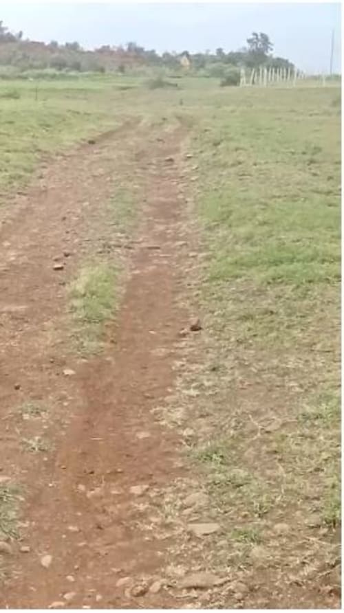An image of land
