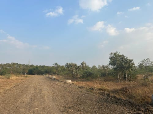 An image of land