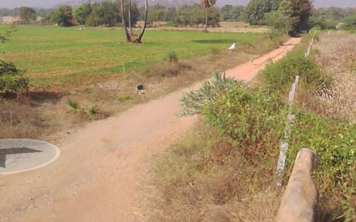 An image of land