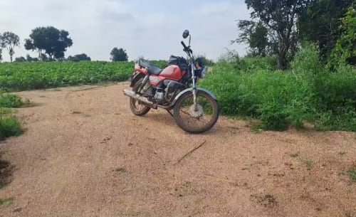 An image of land
