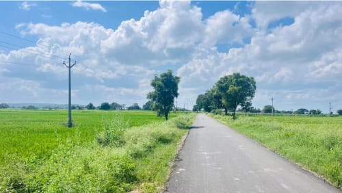 An image of land