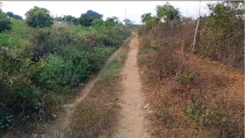 An image of land