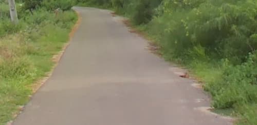 An image of land