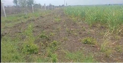 An image of land